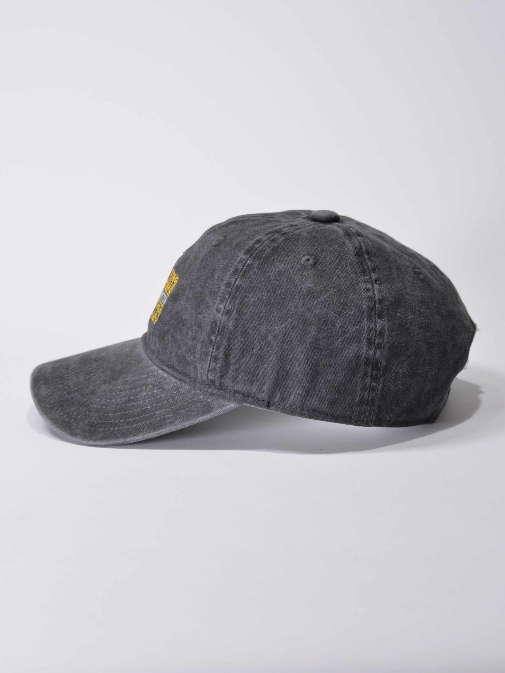 PIGMENT ROARING TWENTIES CAP