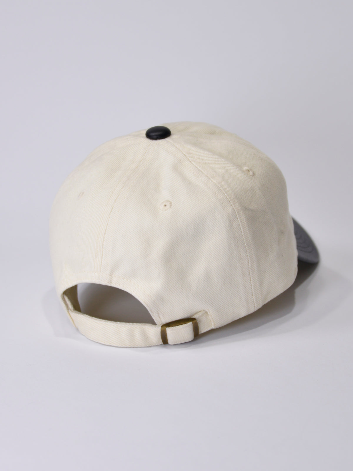 TWILL & PU MODERN AGE CAP